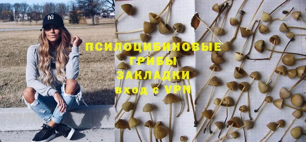 прущие крисы Белоозёрский