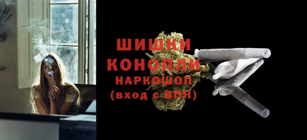 амф Богородицк