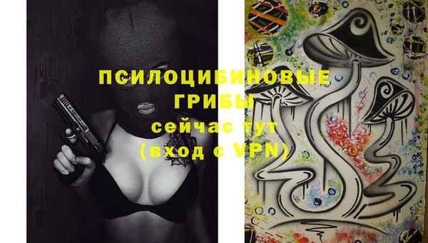 амф Богородицк