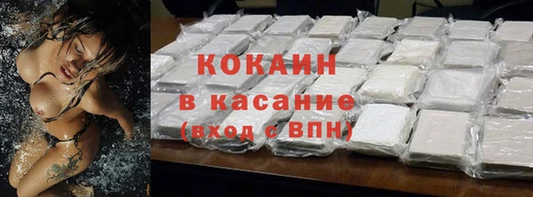 гашиш Богданович