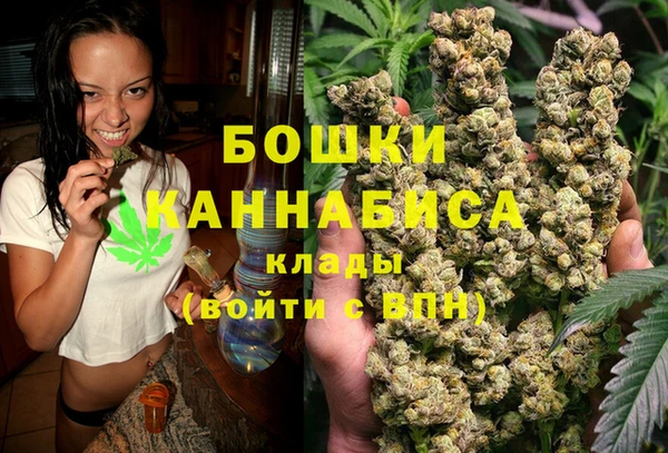 гашиш Богданович